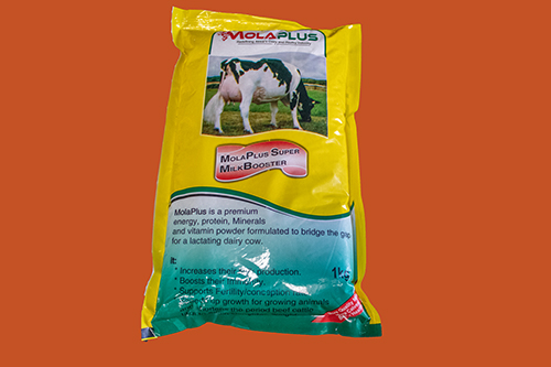 MolaPlus Super Milk Booster 1KG