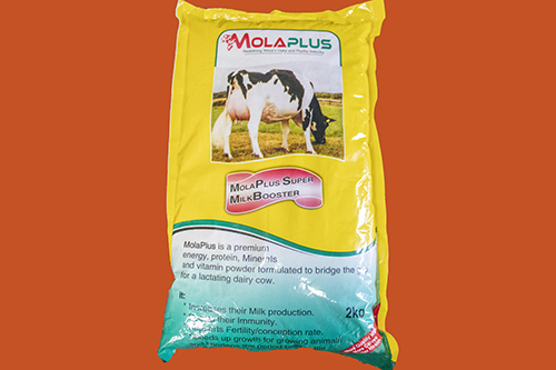 MolaPlus Super Milk Booster 2KG