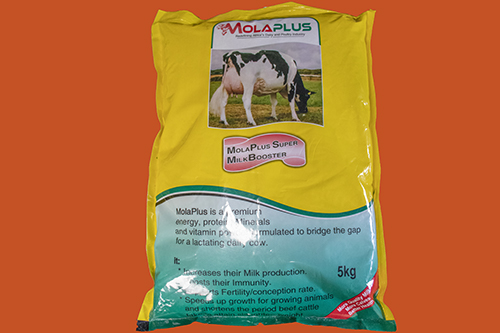 MolaPlus Super Milk Booster 5KG