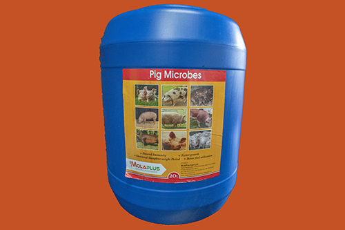 Pig Microbes 20L