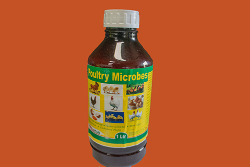 Poultry Microbes 1L
